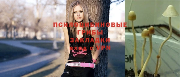 экстази Новодвинск