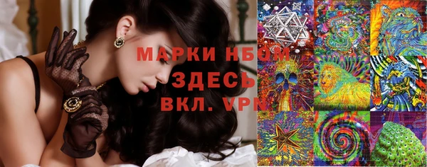 винт Новозыбков