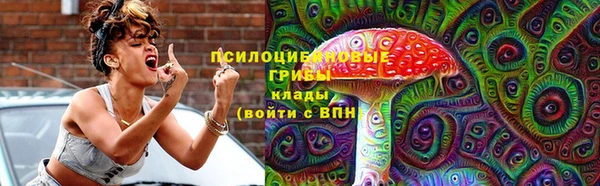 винт Новозыбков
