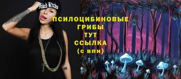 экстази Новодвинск