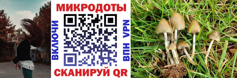Псилоцибиновые грибы ЛСД  Покров 