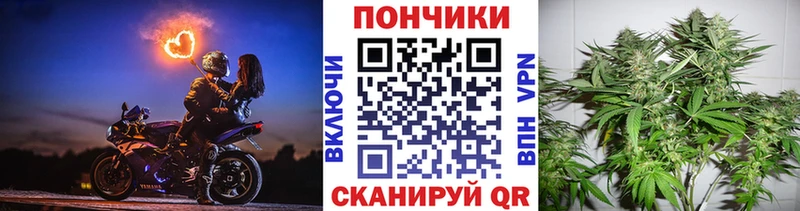 закладки  Покров  Канабис семена 